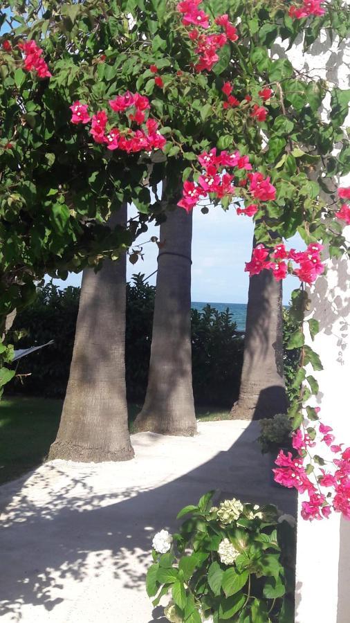 La Casa Di Nina Acomodação com café da manhã La Maddalena  Exterior foto