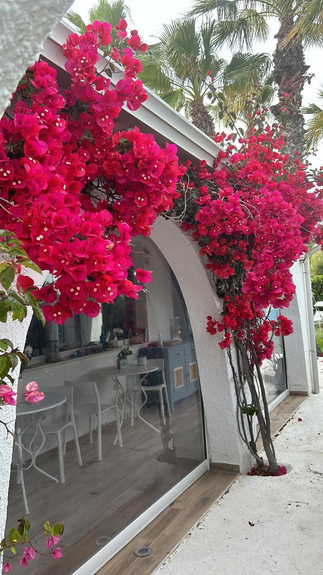 La Casa Di Nina Acomodação com café da manhã La Maddalena  Exterior foto